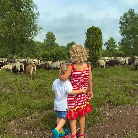 Otel Akzent Berlin Bad Bevensen