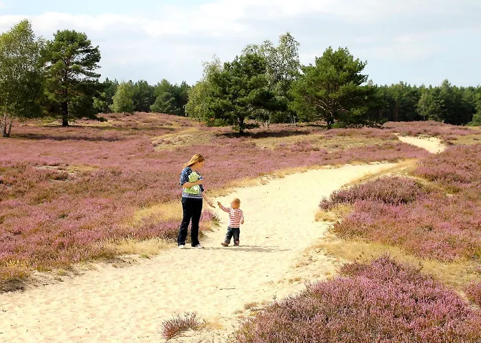 Отель Akzent Berlin 3*