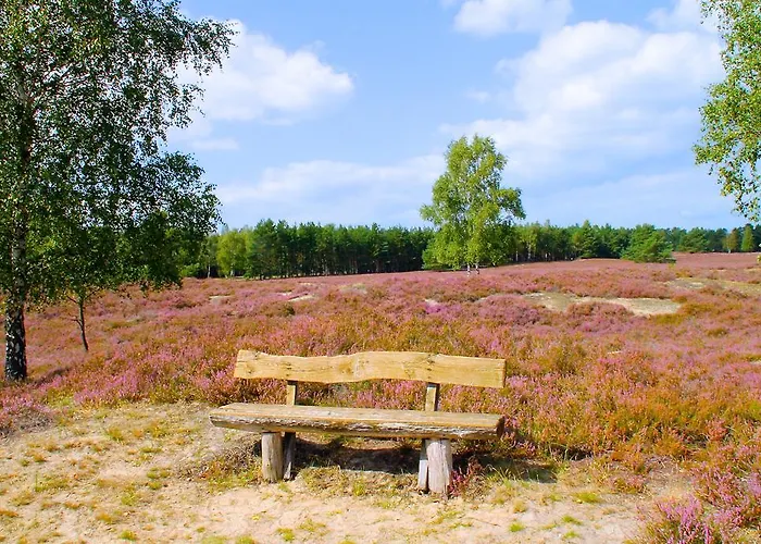 Akzent Berlin Бад-Бевензен