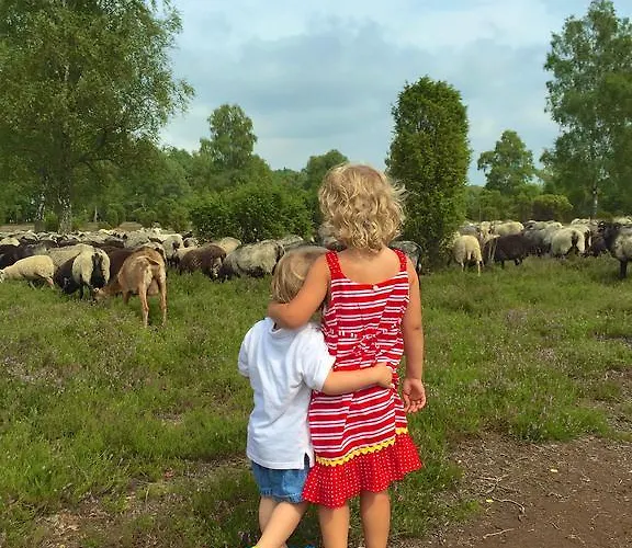 Отель Akzent Berlin Бад-Бевензен